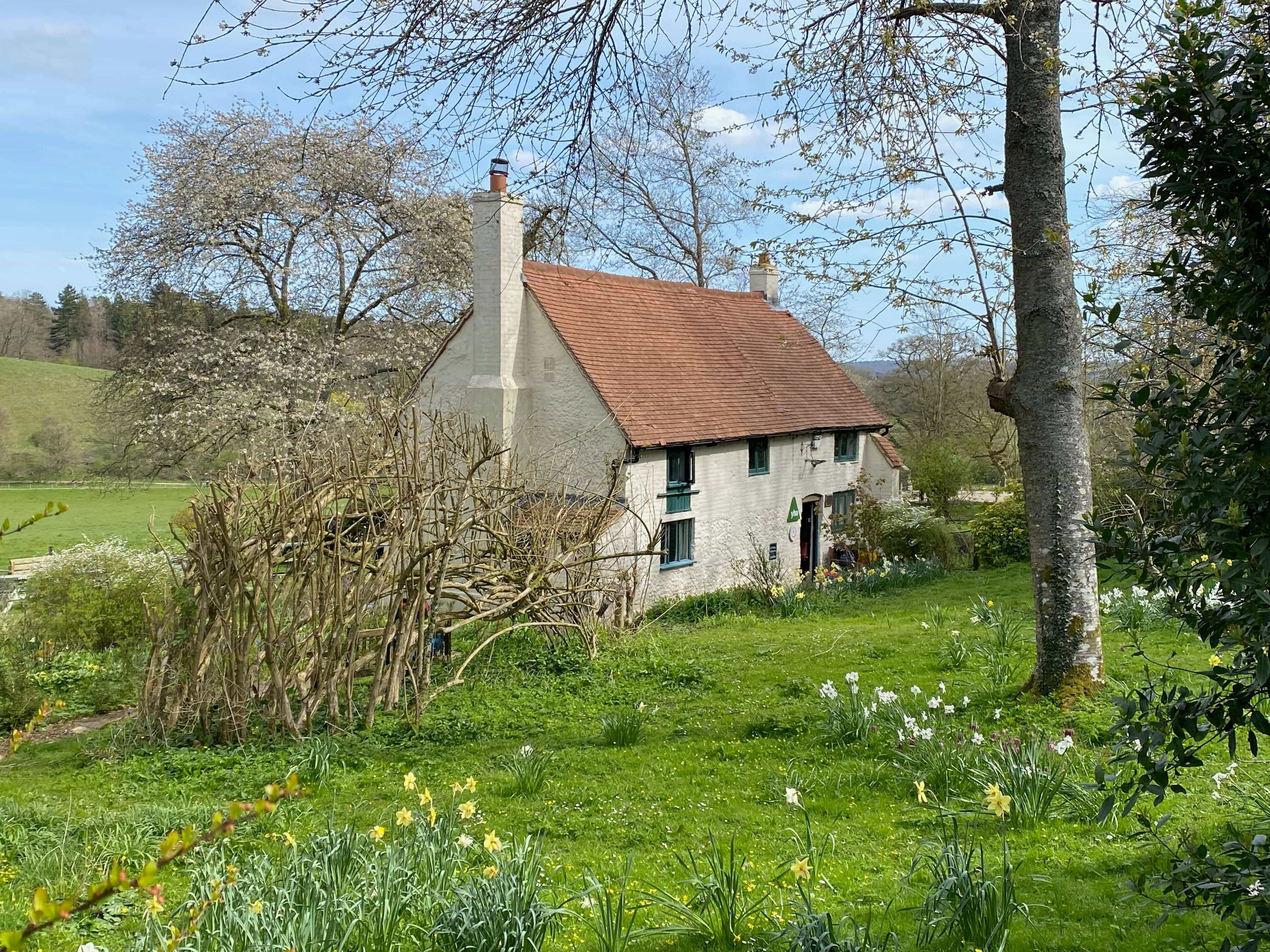 Tanners Hatch gardens being cared for